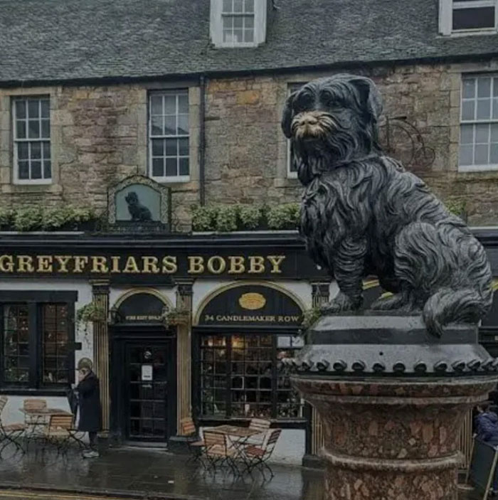 Scotland’s Famous Sheep and Dog Duo