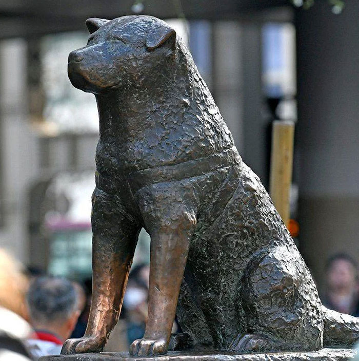 Japan’s Legendary Loyal Dog Hachikō