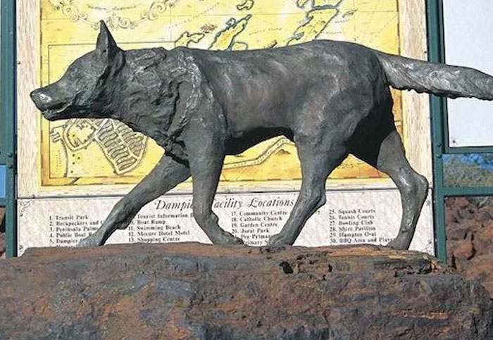 Australia’s Legendary Red Dog
