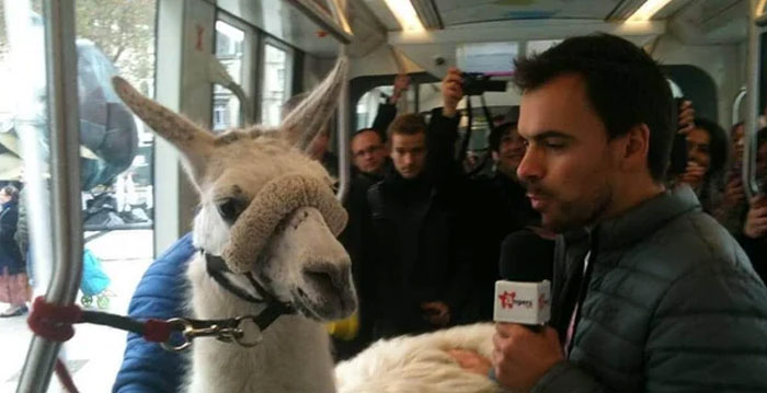France’s Tram-Riding Serge