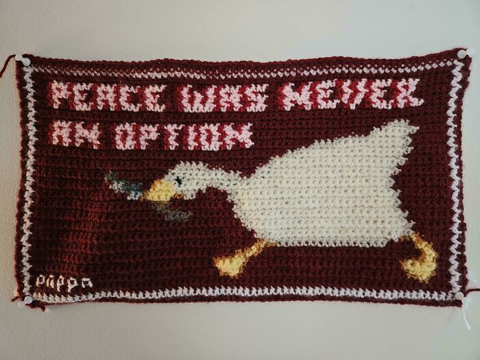 Wait, People Actually Made These Insane Crochet Creations?!