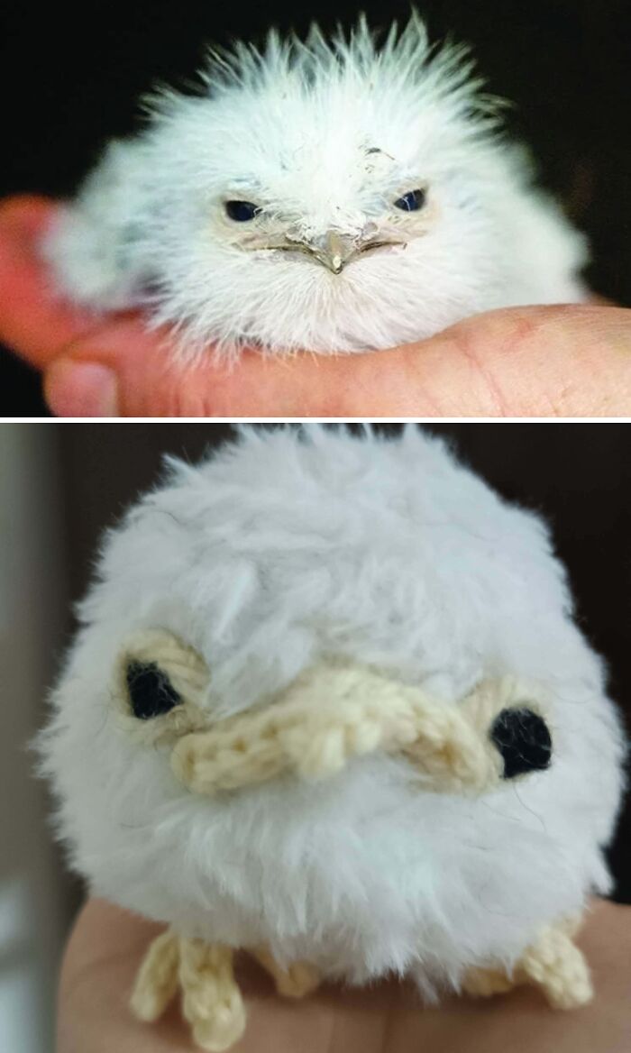Wait, People Actually Made These Insane Crochet Creations?!