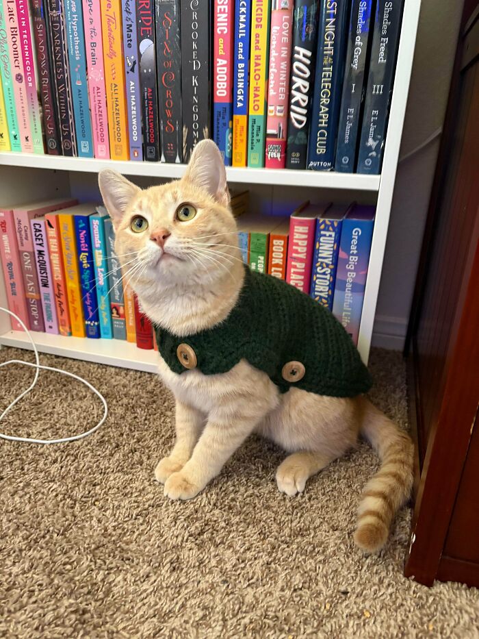 Wait, People Actually Made These Insane Crochet Creations?!