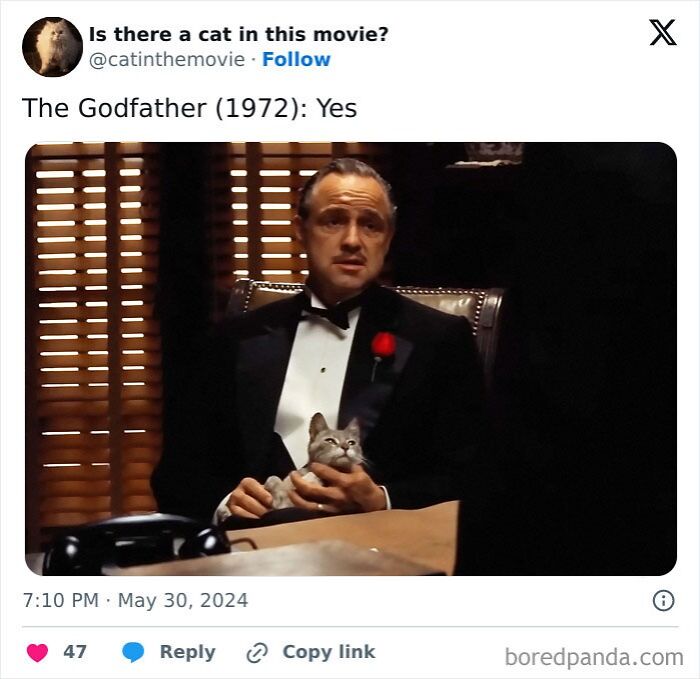 Wait, They Actually Counted ALL These Cats in Movies?