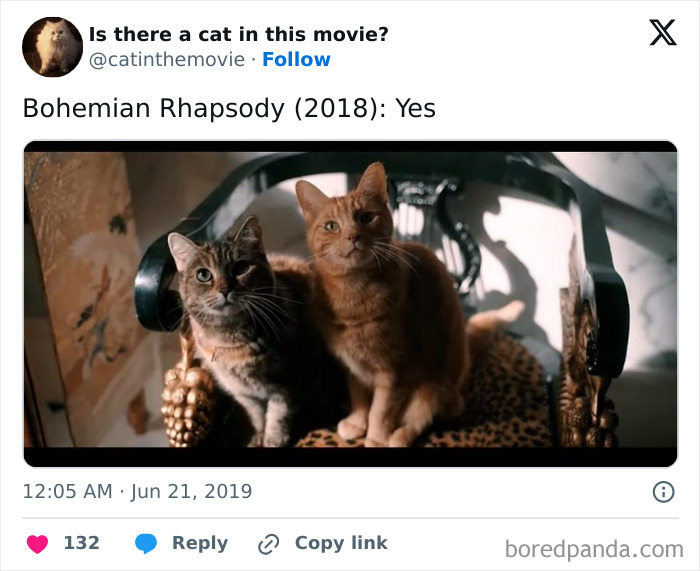 Wait, They Actually Counted ALL These Cats in Movies?
