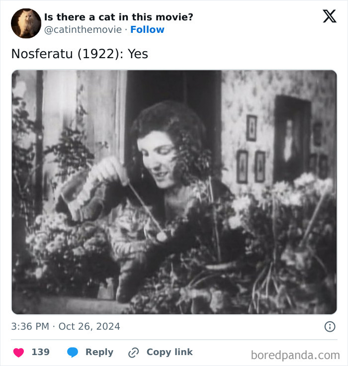 Wait, They Actually Counted ALL These Cats in Movies?