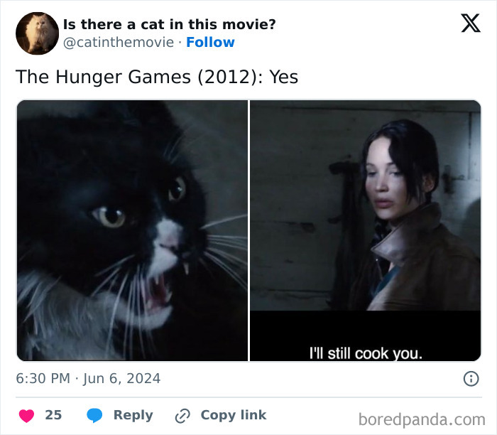 Wait, They Actually Counted ALL These Cats in Movies?
