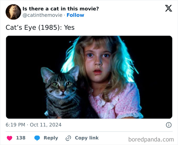 Wait, They Actually Counted ALL These Cats in Movies?