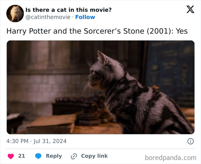 Wait, They Actually Counted ALL These Cats in Movies?