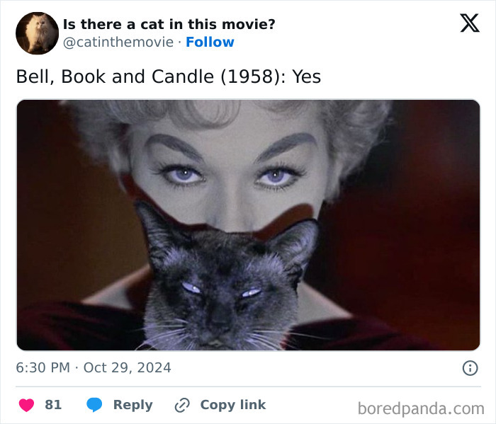 Wait, They Actually Counted ALL These Cats in Movies?