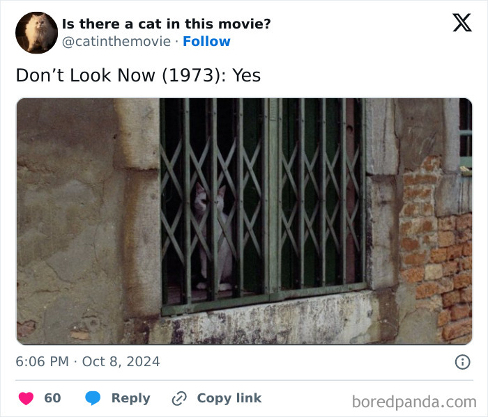 Wait, They Actually Counted ALL These Cats in Movies?