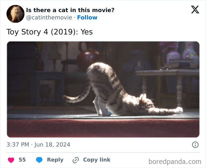 Wait, They Actually Counted ALL These Cats in Movies?