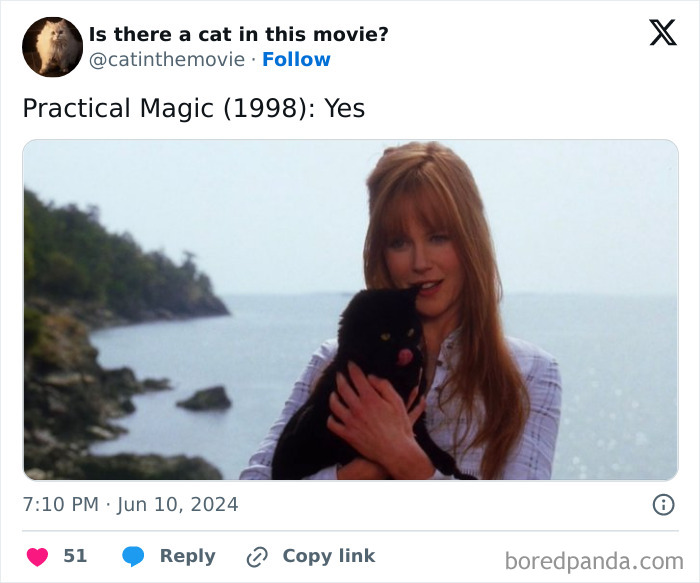 Wait, They Actually Counted ALL These Cats in Movies?