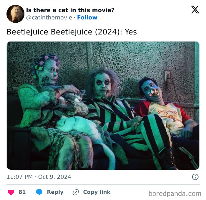 Wait, They Actually Counted ALL These Cats in Movies?