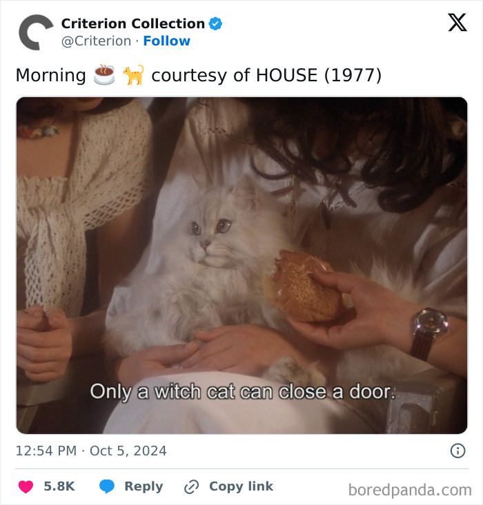 Wait, They Actually Counted ALL These Cats in Movies?