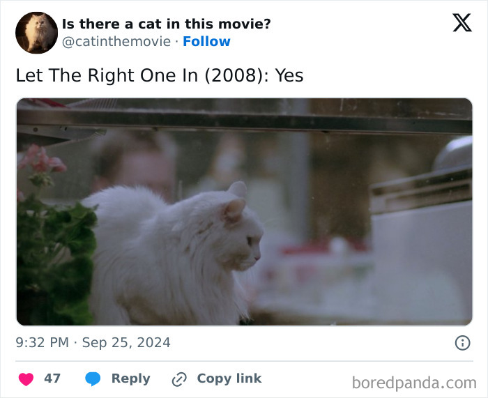 Wait, They Actually Counted ALL These Cats in Movies?