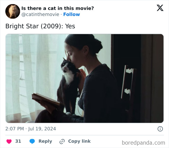 Wait, They Actually Counted ALL These Cats in Movies?
