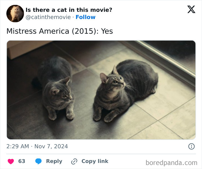 Wait, They Actually Counted ALL These Cats in Movies?