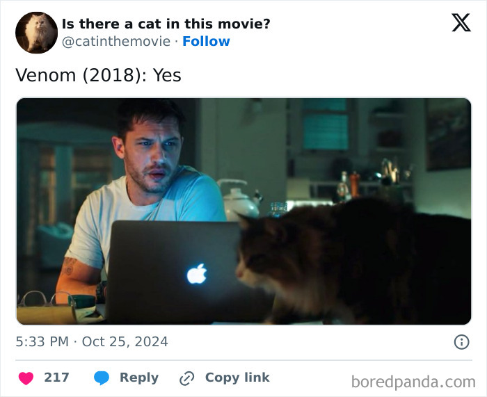 Wait, They Actually Counted ALL These Cats in Movies?