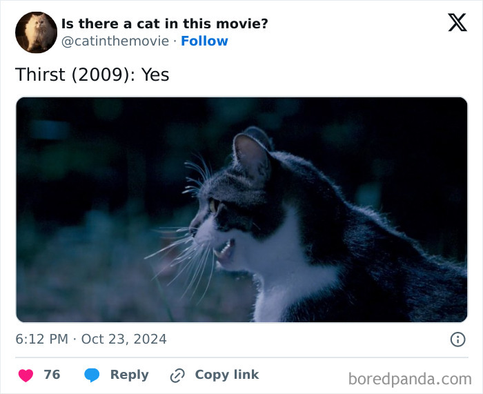 Wait, They Actually Counted ALL These Cats in Movies?