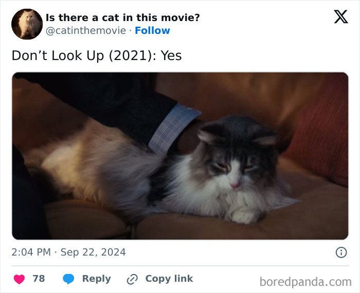 Wait, They Actually Counted ALL These Cats in Movies?