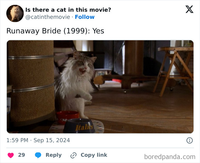 Wait, They Actually Counted ALL These Cats in Movies?