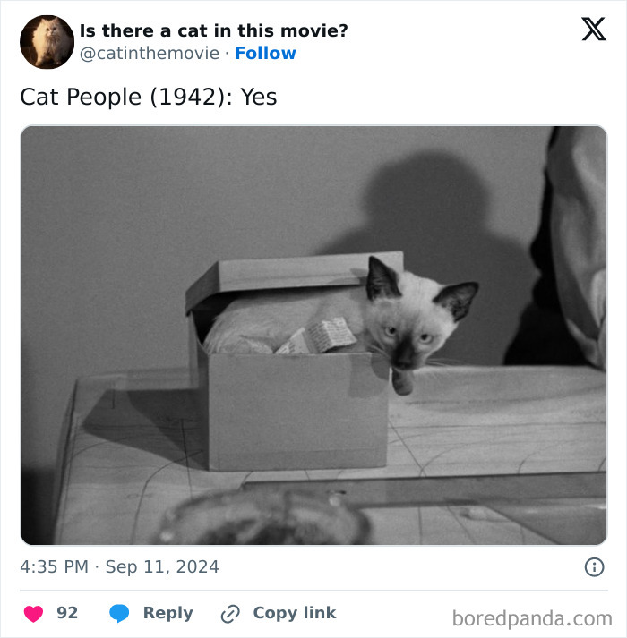 Wait, They Actually Counted ALL These Cats in Movies?