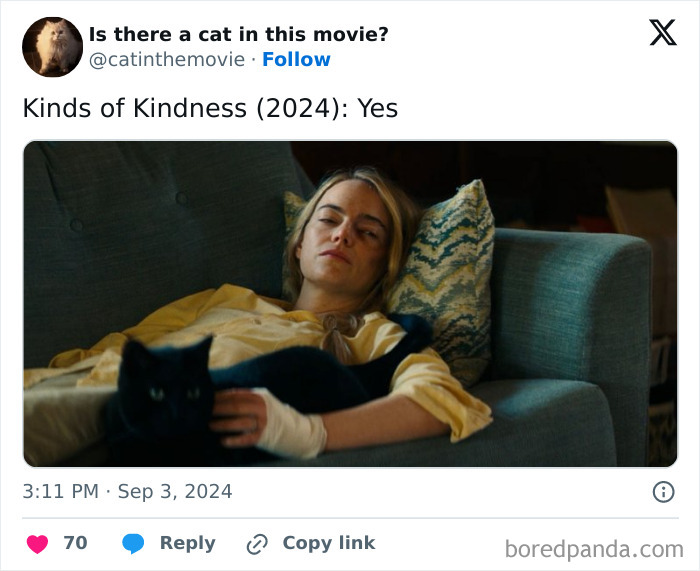 Wait, They Actually Counted ALL These Cats in Movies?