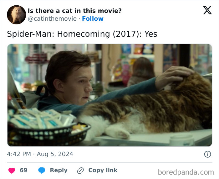 Wait, They Actually Counted ALL These Cats in Movies?