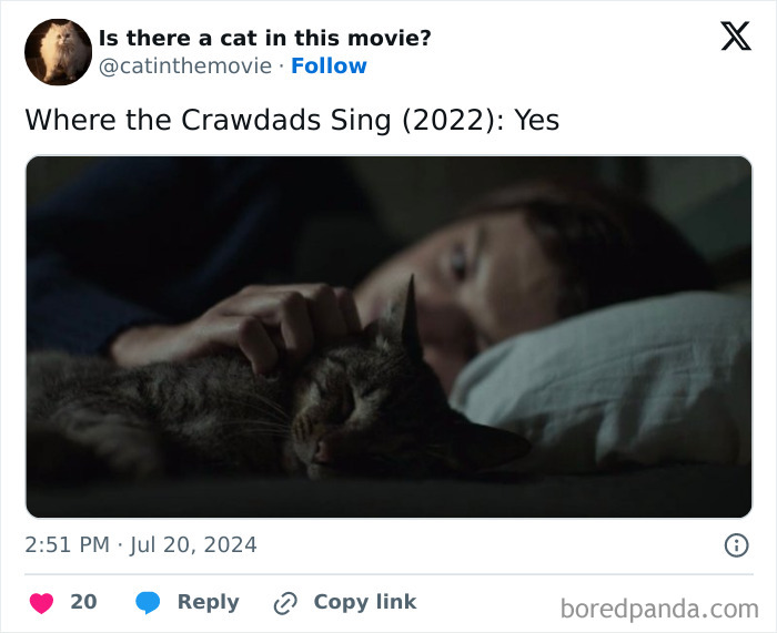 Wait, They Actually Counted ALL These Cats in Movies?