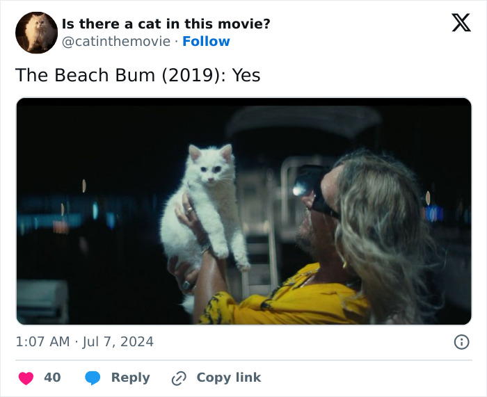 Wait, They Actually Counted ALL These Cats in Movies?
