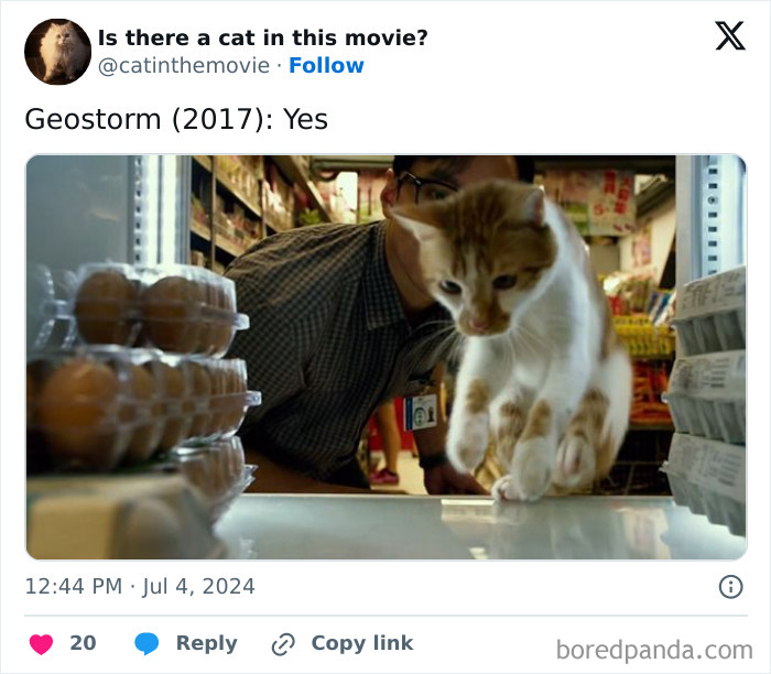 Wait, They Actually Counted ALL These Cats in Movies?