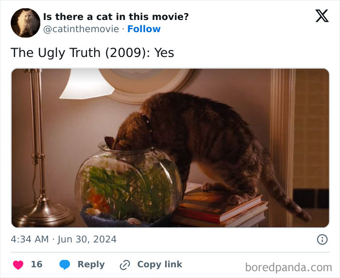 Wait, They Actually Counted ALL These Cats in Movies?