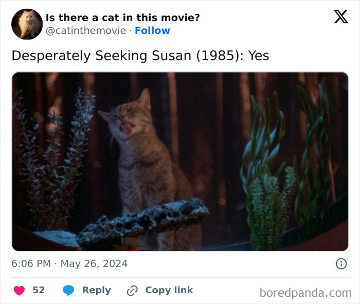 Wait, They Actually Counted ALL These Cats in Movies?