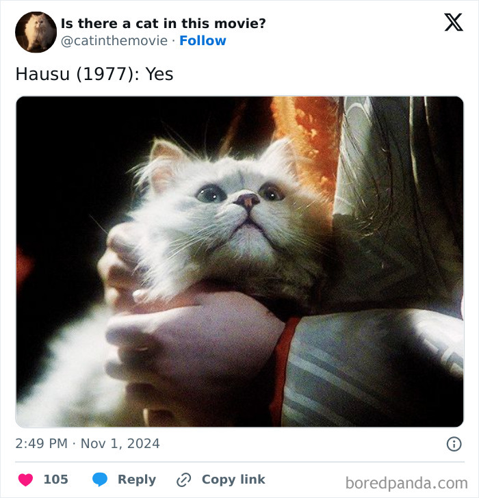 Wait, They Actually Counted ALL These Cats in Movies?