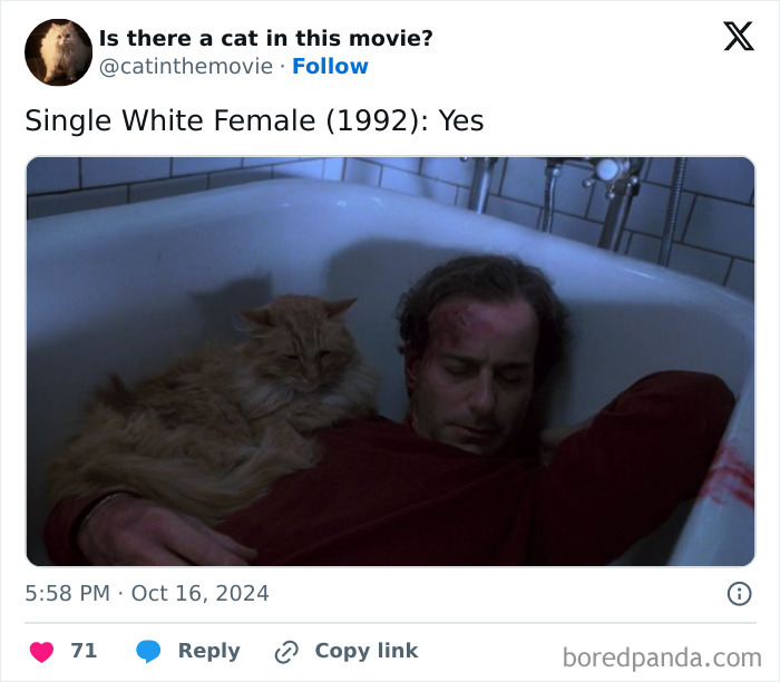 Wait, They Actually Counted ALL These Cats in Movies?
