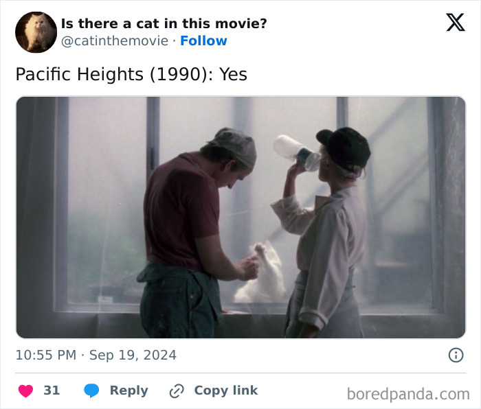 Wait, They Actually Counted ALL These Cats in Movies?