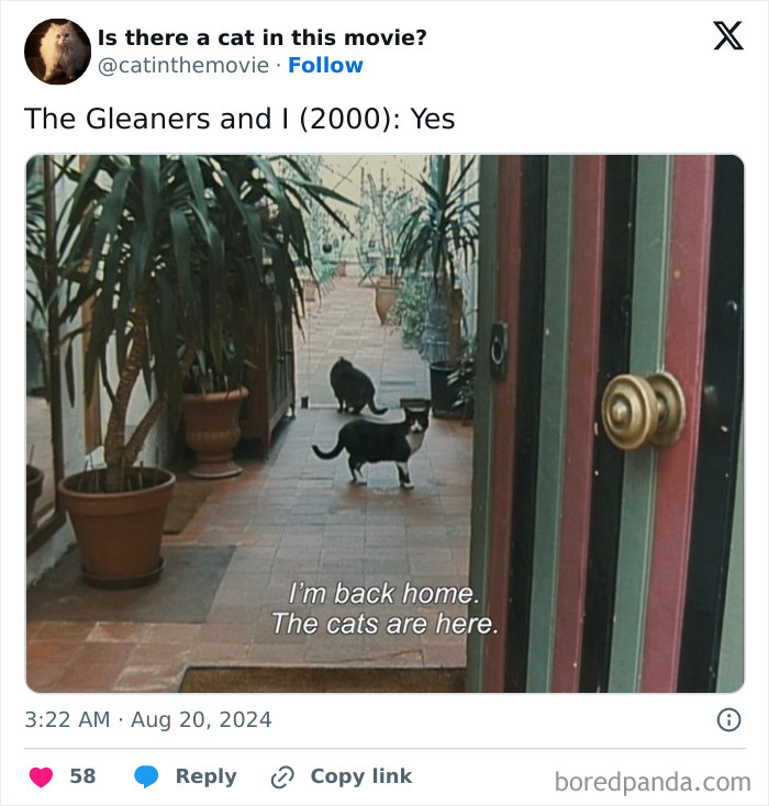 Wait, They Actually Counted ALL These Cats in Movies?
