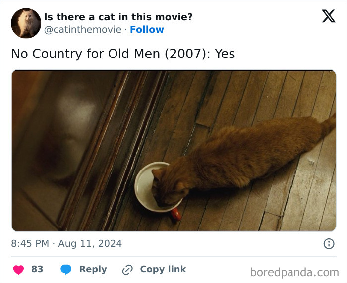 Wait, They Actually Counted ALL These Cats in Movies?