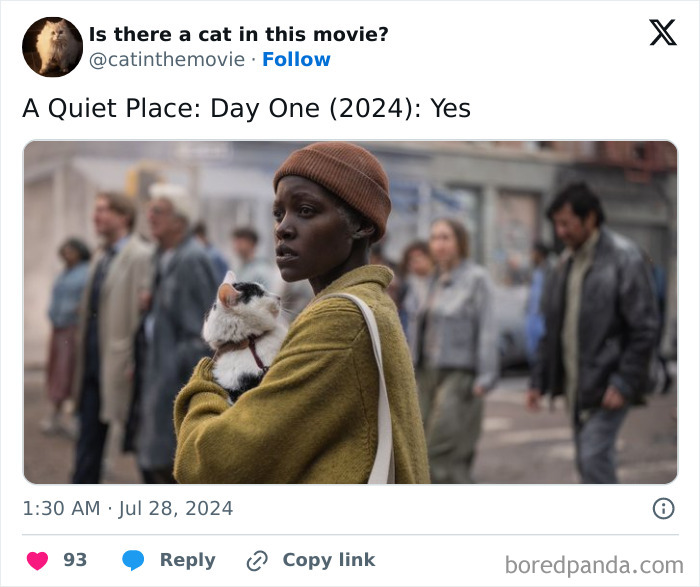 Wait, They Actually Counted ALL These Cats in Movies?