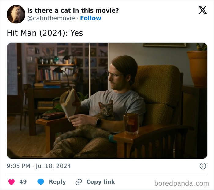 Wait, They Actually Counted ALL These Cats in Movies?