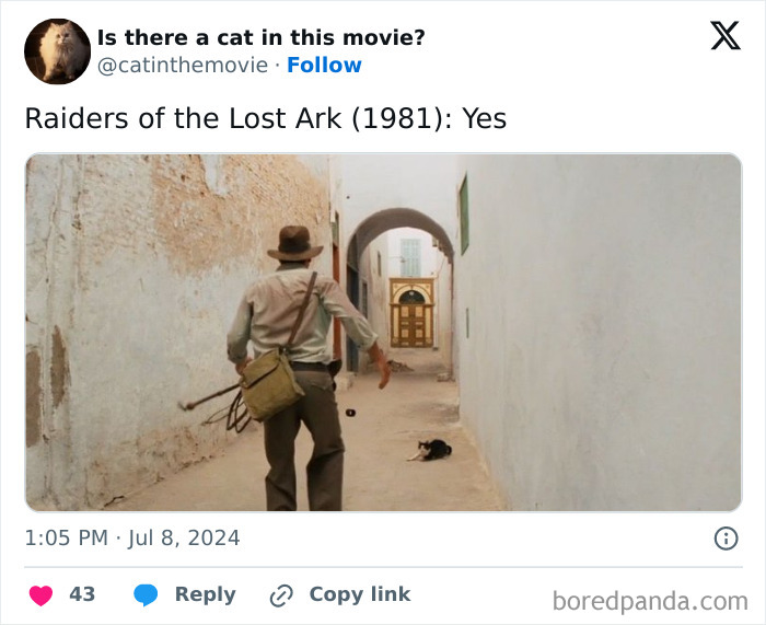 Wait, They Actually Counted ALL These Cats in Movies?