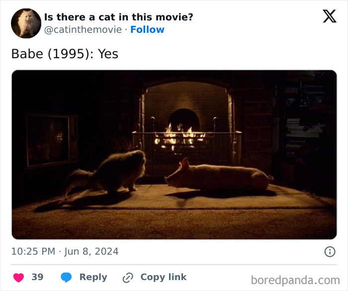 Wait, They Actually Counted ALL These Cats in Movies?