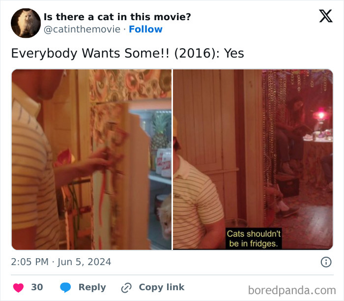 Wait, They Actually Counted ALL These Cats in Movies?