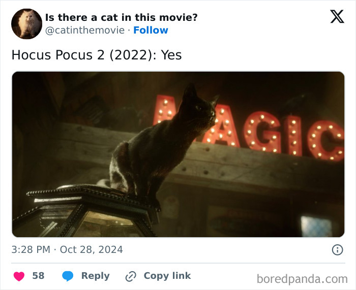 Wait, They Actually Counted ALL These Cats in Movies?