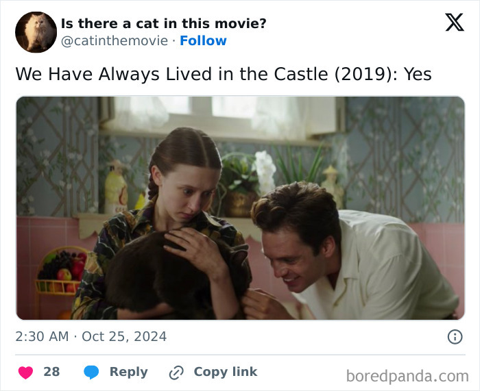 Wait, They Actually Counted ALL These Cats in Movies?