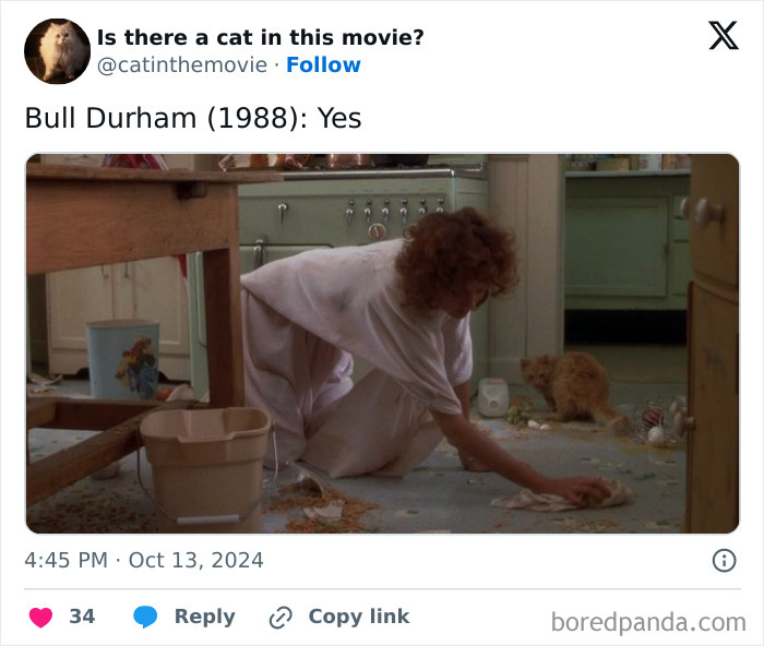 Wait, They Actually Counted ALL These Cats in Movies?