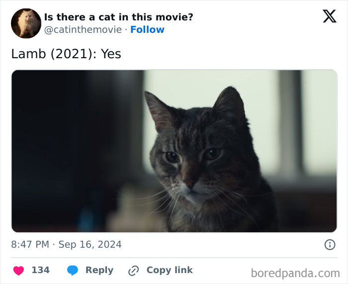 Wait, They Actually Counted ALL These Cats in Movies?