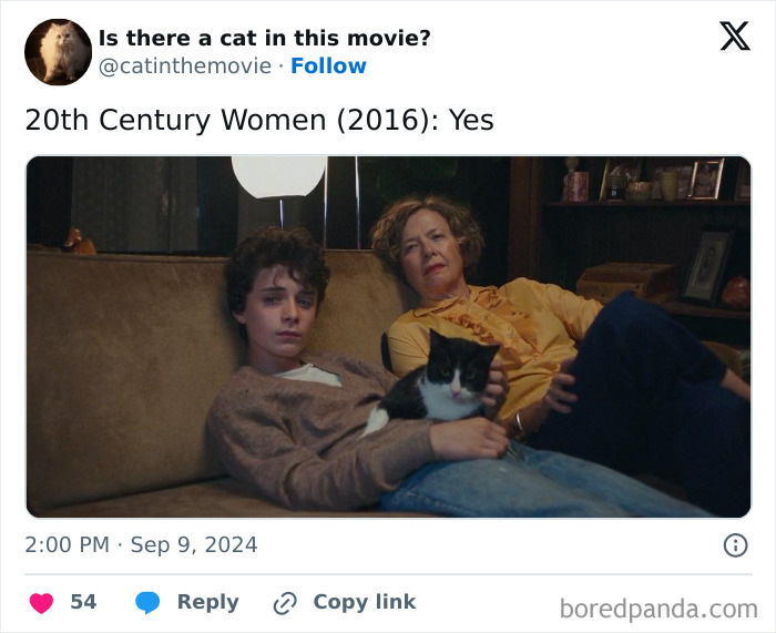 Wait, They Actually Counted ALL These Cats in Movies?
