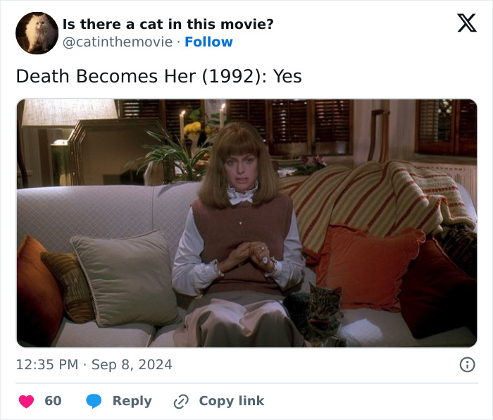 Wait, They Actually Counted ALL These Cats in Movies?